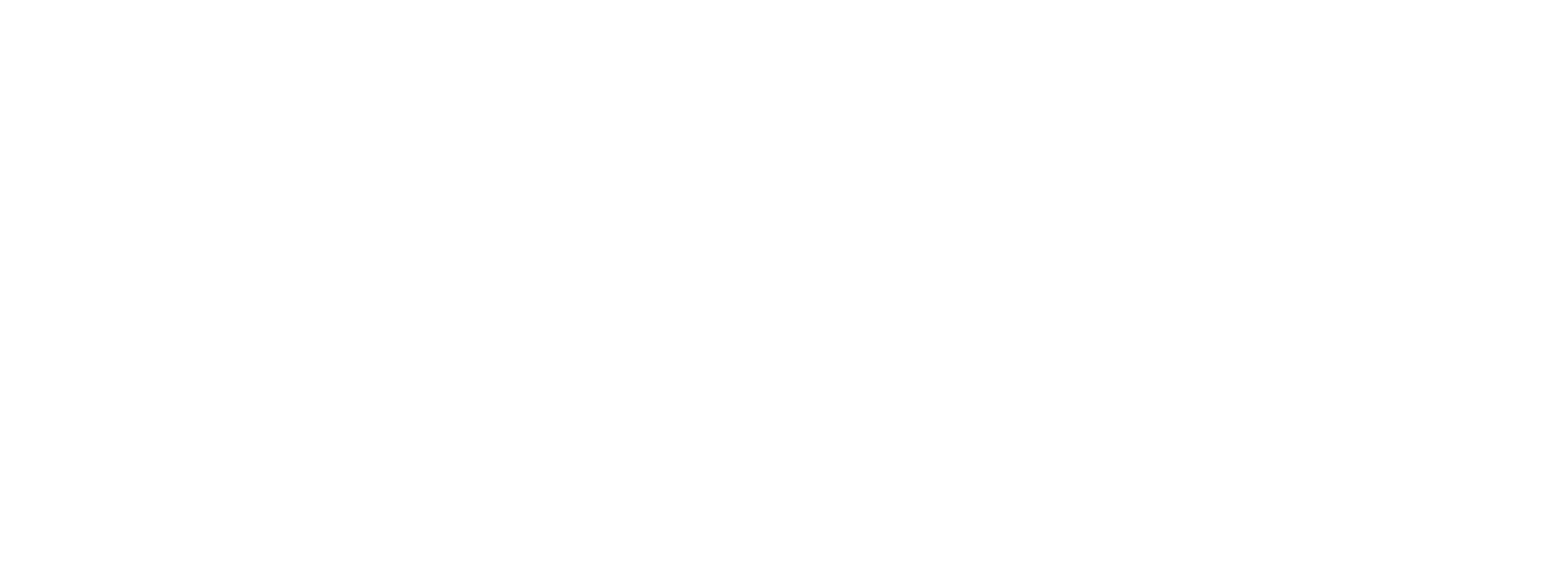 DP_WW_Logo_White