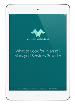 What to Look for in IoT Managed Services Provider