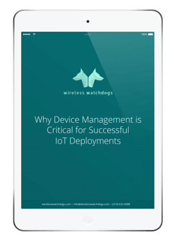 White Paper: Why Device Management Is Critical for Successful IoT Deployments