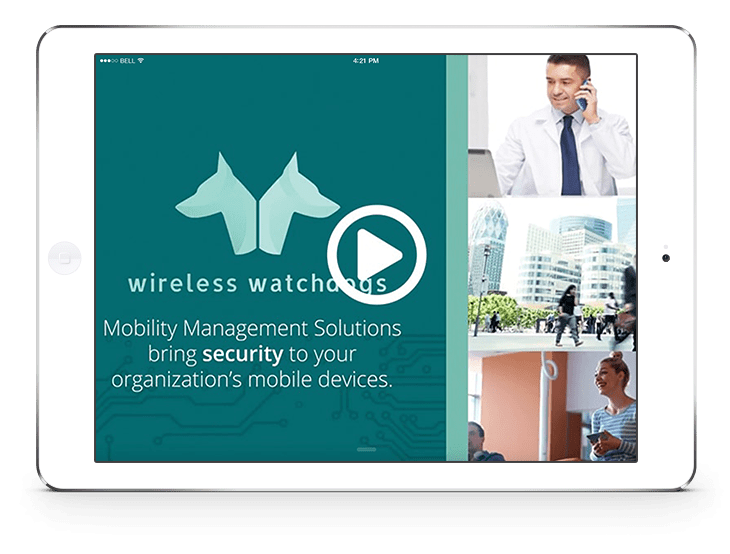 ww-overview-video-mockup.png