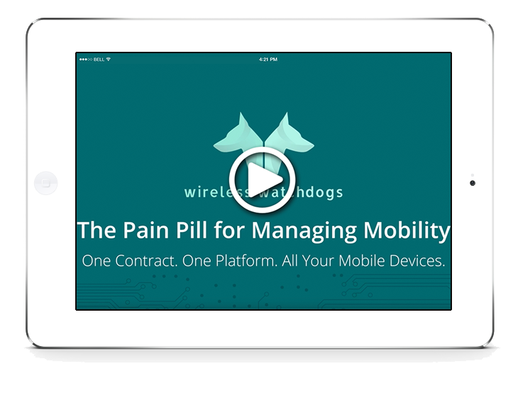 ww-pain-pill-video-mockup